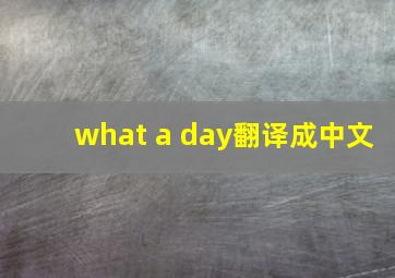 what a day翻译成中文